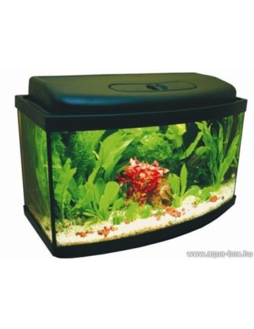 60 literes íves akvárium szett