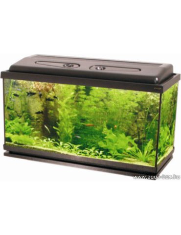 72 literes Aqua-box akvárium szett LED
