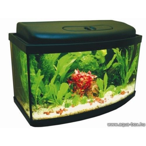 40 literes íves akvárium szett LED