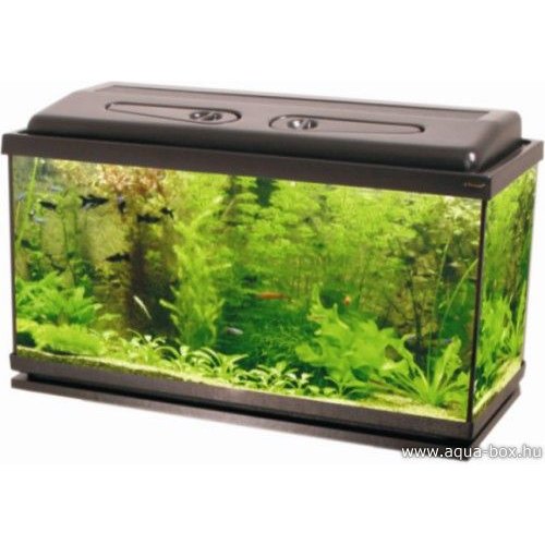 45 literes akvárium szett LED