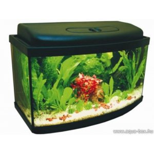 23 literes íves dobozos akvárium szett LED