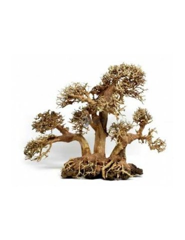 Bonsai Aqua L akvárium dekoráció